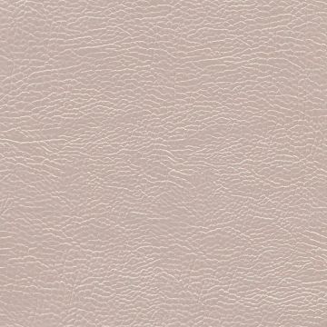 Designers Guild - Atacama - FDG2168/09 Stone