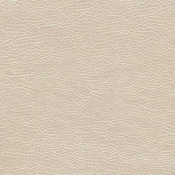 Designers Guild - Atacama - FDG2168/12 Nougat