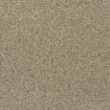 Designers Guild - Sakai - FDG2170/04 Birch