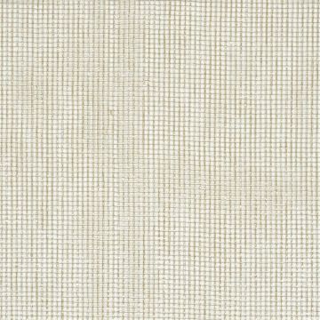 Designers Guild - Oparu - FDG2175/05 Zinc