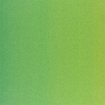 Designers Guild - Capisoli - FDG2188/09 Grass