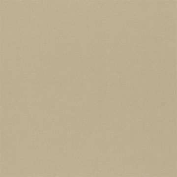 Designers Guild - Aquarelle - FDG2196/06 Roebuck