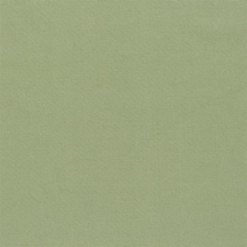 Designers Guild - Aquarelle - FDG2196/24 Olive
