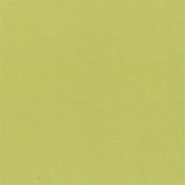 Designers Guild - Aquarelle - FDG2196/26 Moss