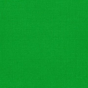 Designers Guild - Manzoni - FDG2255/01 Emerald