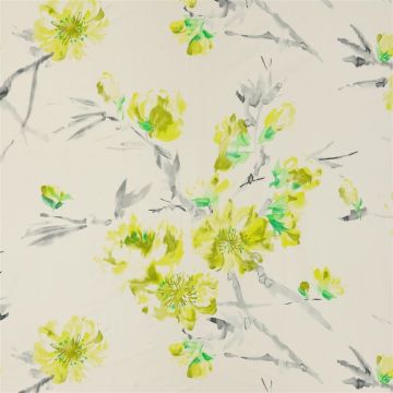 Designers Guild - Oriental Flower - FDG2292/01 Acacia