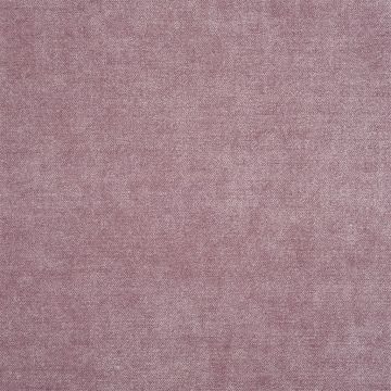 Designers Guild - Zaragoza - FDG2333/43 Clover