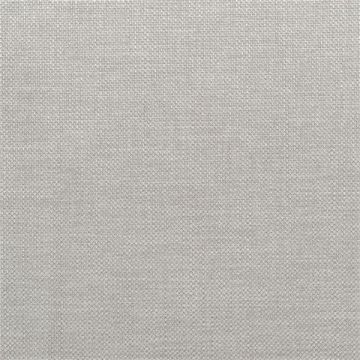 Designers Guild - Brienno - FDG2530/11 Zinc