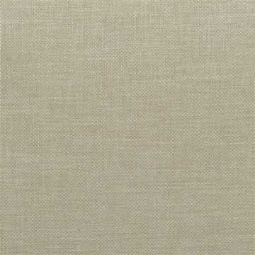 Designers Guild - Brienno - FDG2530/26 Sage