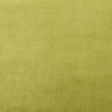 Designers Guild - Varallo - FDG2534/05 Acacia