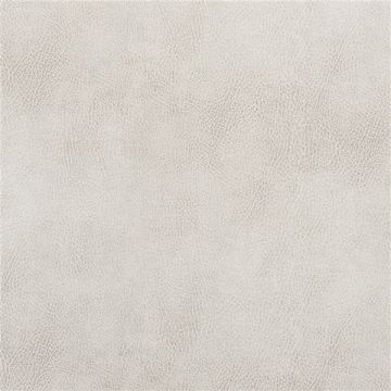 Designers Guild - Nevada - FDG2538/08 Ecru