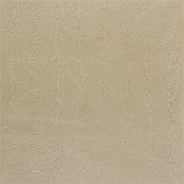 Designers Guild - Matara - FDG2648/06 Mica