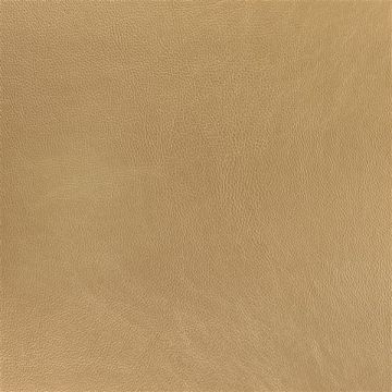 Designers Guild - Matara - FDG2648/23 Gold