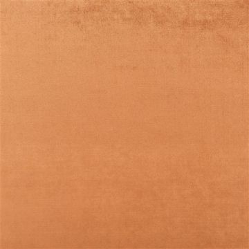 Designers Guild - Vicenza - FDG2798/49 Russet