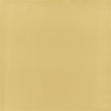 Designers Guild - Calozzo - FDG2837/10 Gold