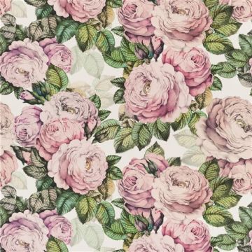 Designers Guild - The Rose - FJD6006/02 Tuberose