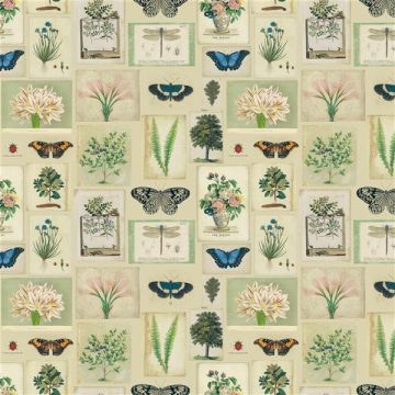 Designers Guild - Flora And Fauna - FJD6007/01 Parchment
