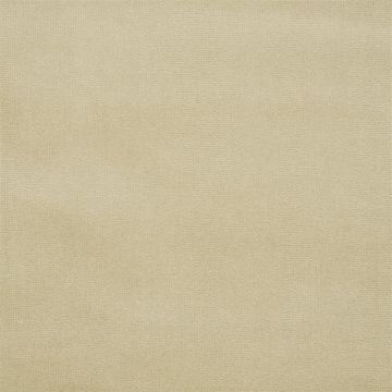 Designers Guild - English Riding Velvet - FLFY-647/34 Palomino