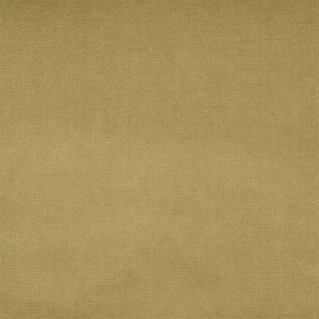Designers Guild - English Riding Velvet - FLFY-647/35 Camel
