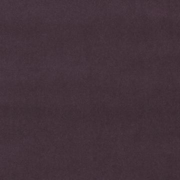 Designers Guild - English Riding Velvet - FLFY-647/45 Thistle