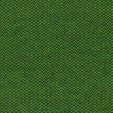 Designers Guild - Abruzzi - FT1460/14 Emerald