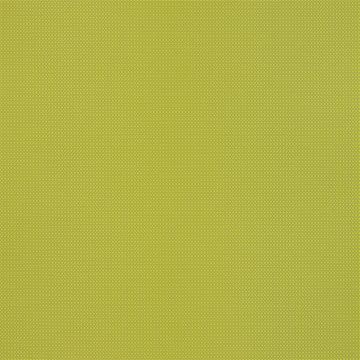 Designers Guild - Corbara - FT1863/10 Lime