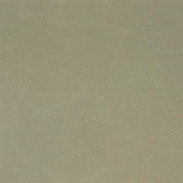 Designers Guild - Cara - FT1977/13 Driftwood