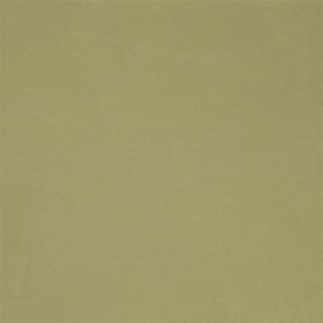 Designers Guild - Cara - FT1977/15 Pistachio