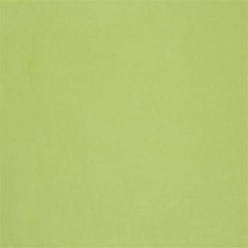 Designers Guild - Cara - FT1977/16 Lime