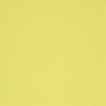 Designers Guild - Cara - FT1977/17 Acacia