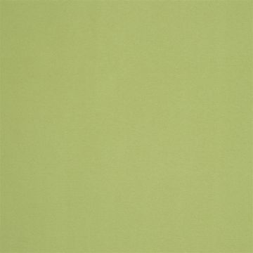 Designers Guild - Tanara - FT1978/16 Leaf