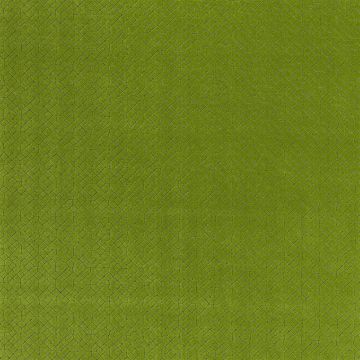Designers Guild - Riolo - FT2026/03 Grass