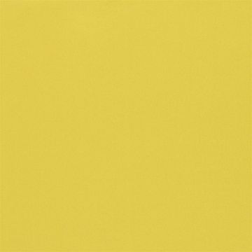 Designers Guild - Lucente - FT2054/01 Acacia