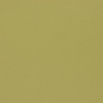 Designers Guild - Lucente - FT2054/02 Olive
