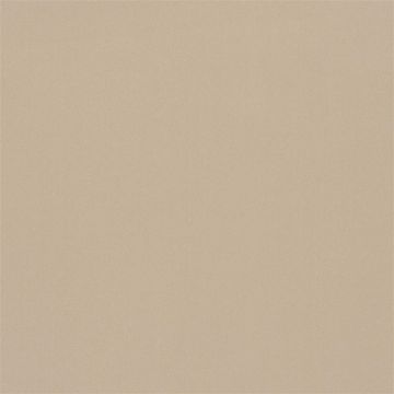 Designers Guild - Lucente - FT2054/20 Putty