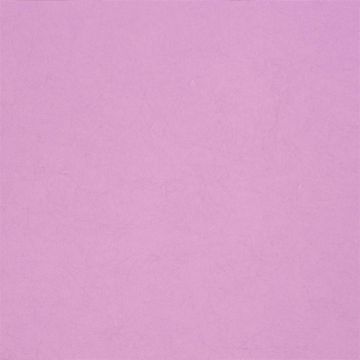 Designers Guild - Ernani - P502/40 Peony