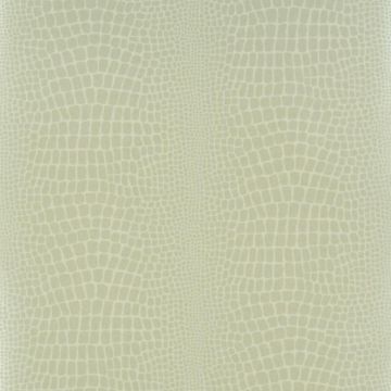 Designers Guild - Pietra - P544/03 Ecru