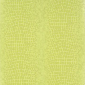 Designers Guild - Pietra - P544/13 Grass