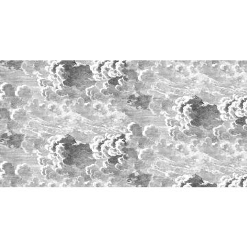 Cole & Son - Fornasetti - Nuvole DMW1007