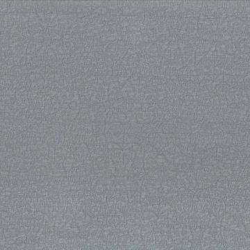 Dominique Kieffer - Reef - 17253-005 Acier