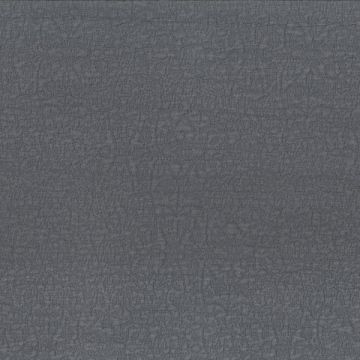 Dominique Kieffer - Reef - 17253-006 Gris