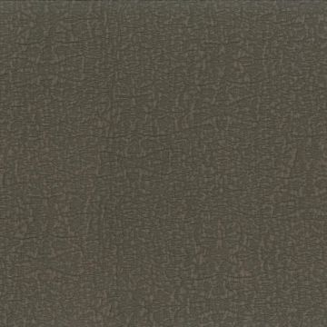 Dominique Kieffer - Reef - 17253-007 Sepia