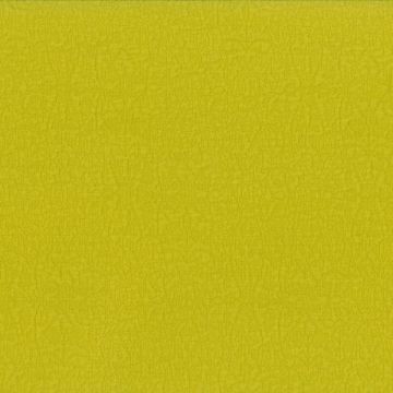 Dominique Kieffer - Reef - 17253-011 Chartreuse