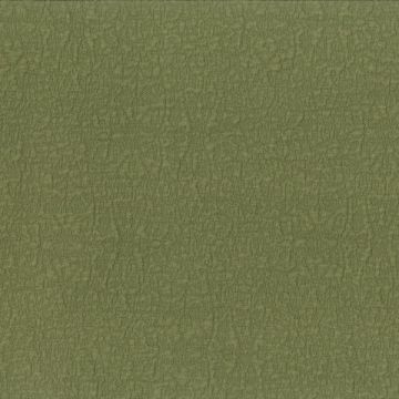 Dominique Kieffer - Reef - 17253-012 Olive