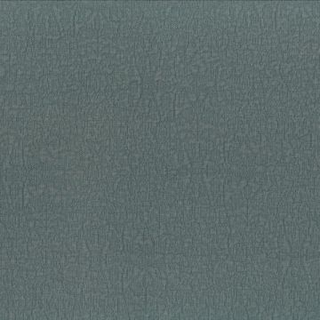 Dominique Kieffer - Reef - 17253-013 Lichen