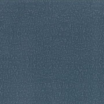 Dominique Kieffer - Reef - 17253-015 Denim