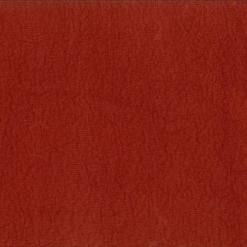 Dominique Kieffer - Reef - 17253-018 Pompei