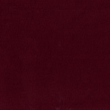 Dominique Kieffer - Reef - 17253-019 Amethyst