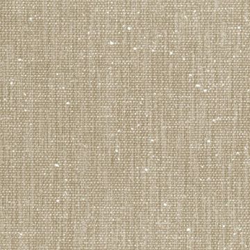 Dominique Kieffer - Tweed Décoloré - 17270-025 Sable