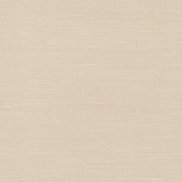 Dominique Kieffer - Tissu d'Elegance - 17282-005 Poudre